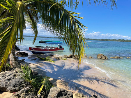 The Best Things to do in Bocas Town 8, Panama