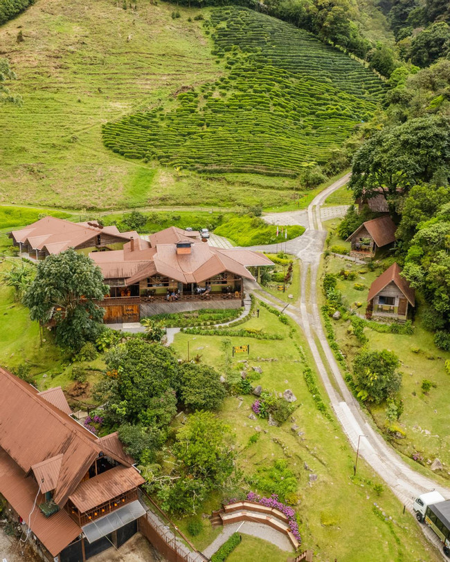 Boquete Tree Trek Mountain Resort