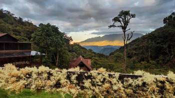 Boquete Tree Trek Mountain Resort