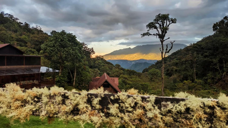 Boquete Tree Trek Mountain Resort