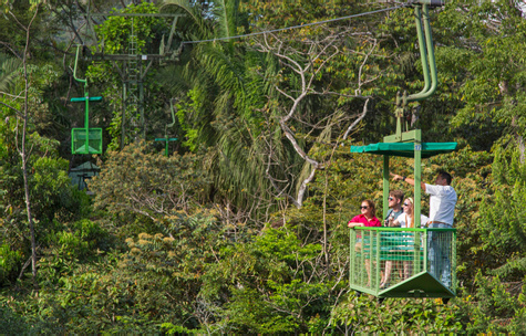 Gamboa Aerial Tram and Wildlife Exhibits