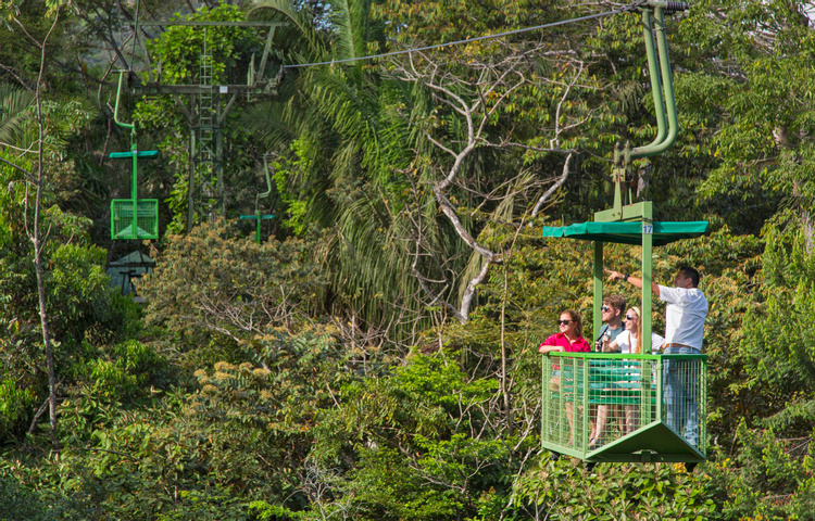 Gamboa Aerial Tram and Wildlife Exhibits