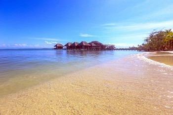 Azul Paradise photo 4