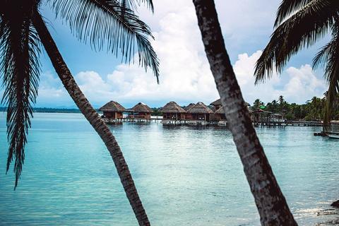 Azul Paradise