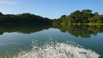 Jungle Canal Day Tour photo 2