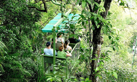 Family Road Trip and Island Adventure