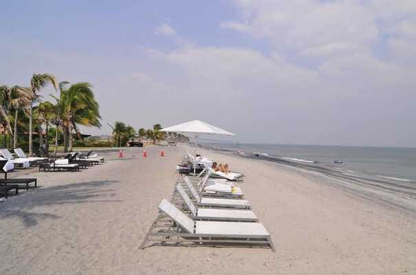 Vacaciones de 6 Días en la Playa y Bosque Tropical de Panamá, Panama