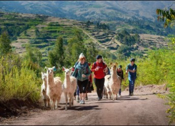 Llama Hike at Piuray Lagoon & Chinchero Cultural Experience photo 4