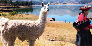 Llama Hike at Piuray Lagoon & Chinchero Cultural Experience photo 5