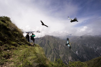 Full day tour to Condor Viewpoint at Chonta