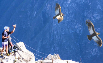 Full day tour to Condor Viewpoint at Chonta