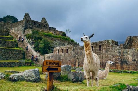 Salkantay Trek 5 Days / 4Nights-Skydome + Camping Peru