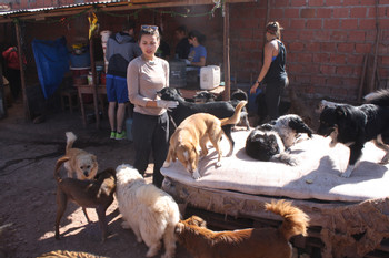 Volunteering Animal Care photo 4