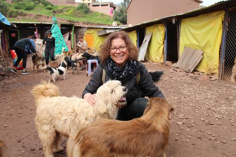 Voluntariado en el cuido de animales