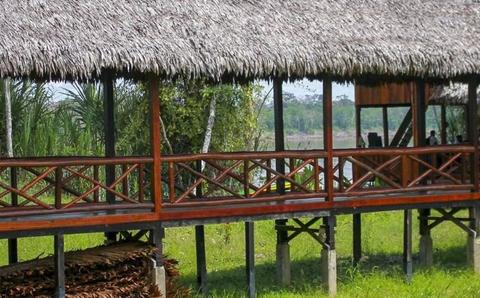 Heliconia Amazon River Lodge Peru