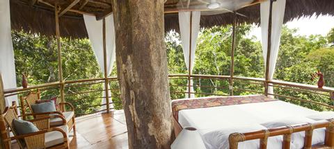 Tree House Lodge Peru