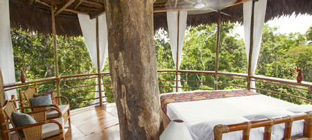 Tree House Lodge photo 2