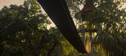 Tree House Lodge Peru