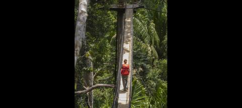 Tree House Lodge Peru