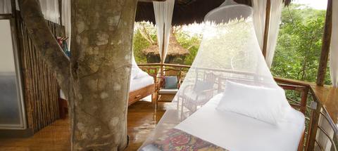 Tree House Lodge Peru