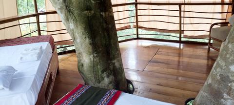 Tree House Lodge Peru