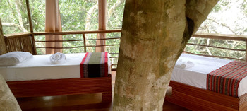 Tree House Lodge photo 3