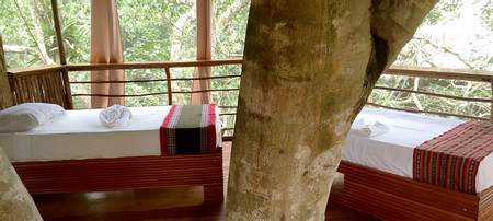 Tree House Lodge photo 3
