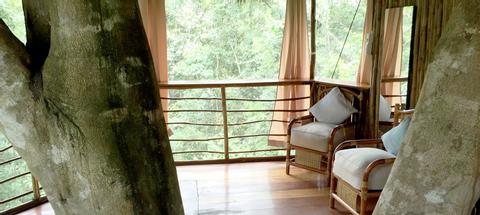 Tree House Lodge Peru
