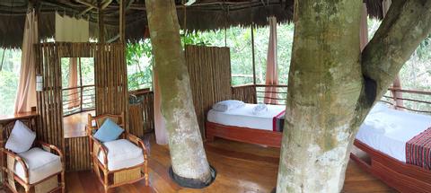 Tree House Lodge Peru