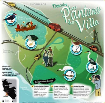 Birdwatching at Villa Wetlands in Lima photo 4