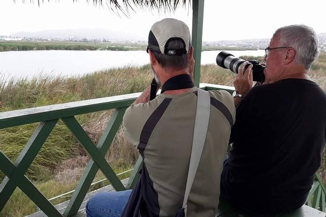 Birdwatching at Villa Wetlands in Lima Photo