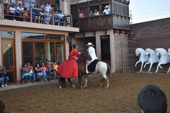 Peruvian Paso Horse Show with Buffet Lunch photo 4