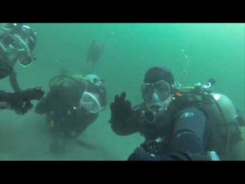 Fun Dives for Certified Divers in Pucusana Beach photo 3