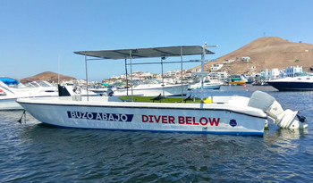 Fun Dives for Certified Divers in Pucusana Beach photo 4