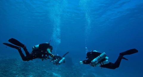Dives for Certified Divers in Pucusana Peru