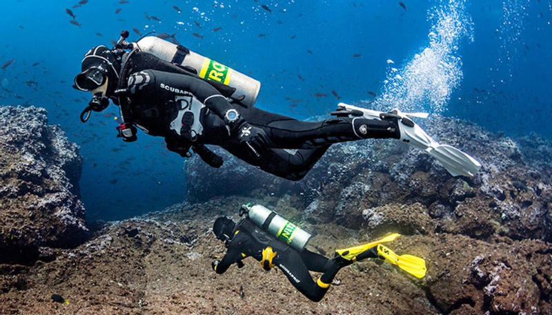 Buceo para buzos certificados en Pucusana photo