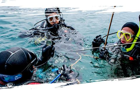 Dives for Certified Divers in Pucusana Peru