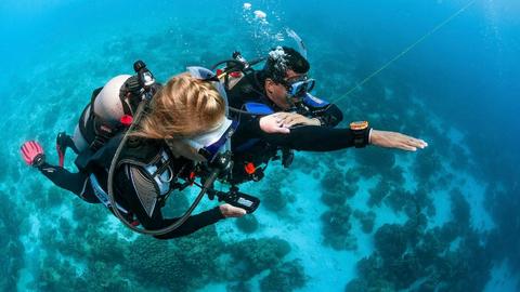 Dives for Certified Divers in Pucusana Peru