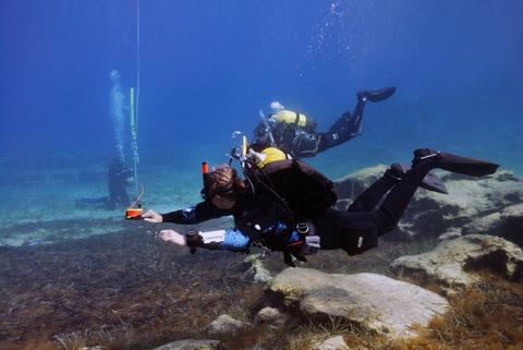 Dives for Certified Divers in Pucusana Peru