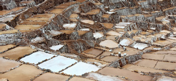 Maras