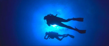 Paracas Discovery Diving photo 5