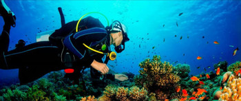 Paracas Discovery Diving photo 3