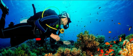 Paracas Discovery Diving photo 3
