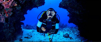 Paracas Discovery Diving photo 2