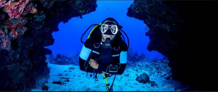 Paracas Discovery Diving photo 2