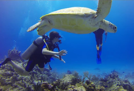Paracas Discovery Diving