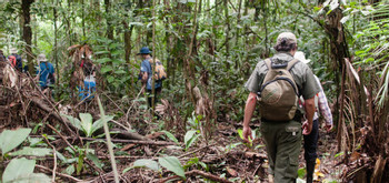 AFS Jungle Program 4 Days / 3 Nights