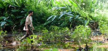 AFS Jungle Program 4 Days / 3 Nights