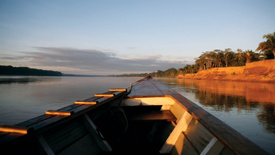 AFS Jungle Program 4 Days / 3 Nights