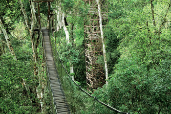 Inkaterra Reserva Amazonica Tambopata photo 4
